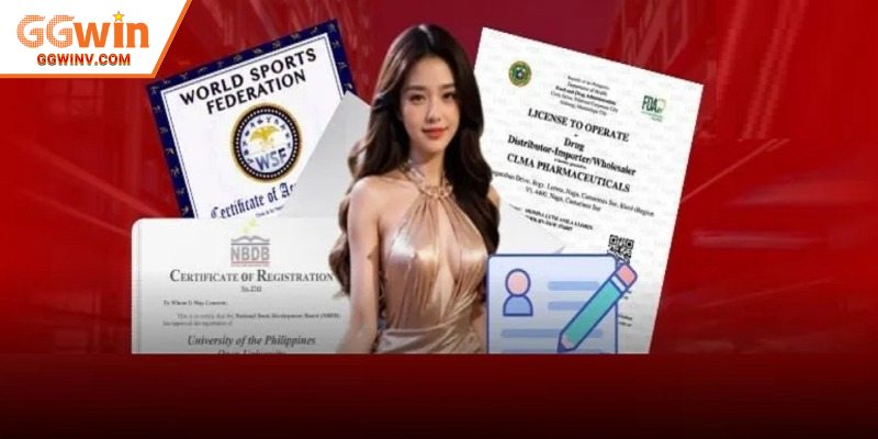 Có nhiều cách kiểm tra giấy phép khác nhau