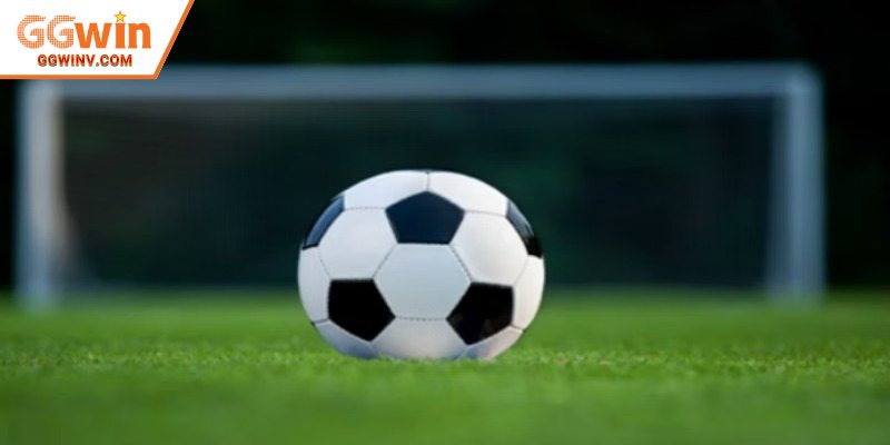 Mỗi phiếu phải chứa ít nhất hai lựa chọn khác nhau