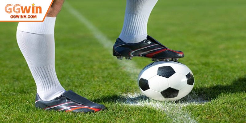 Vài tỷ lệ mở từ sớm nhưng sẽ điều chỉnh liên tục